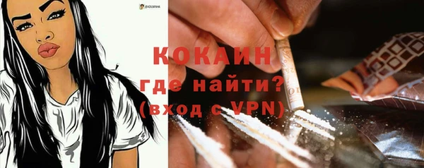 гашик Володарск