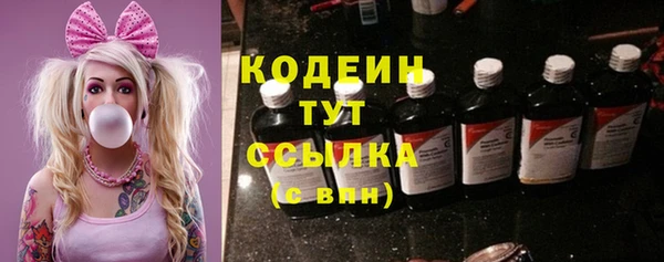 ПСИЛОЦИБИНОВЫЕ ГРИБЫ Вязники
