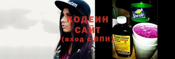 ПСИЛОЦИБИНОВЫЕ ГРИБЫ Вязники