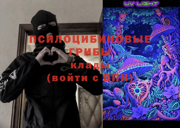 ПСИЛОЦИБИНОВЫЕ ГРИБЫ Вязники