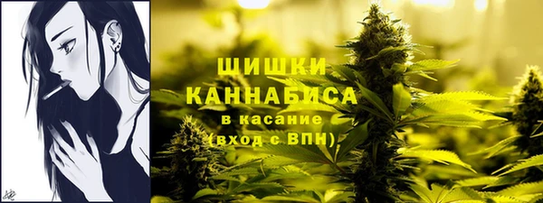 гашик Володарск
