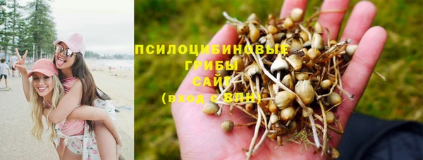 дмт Вяземский