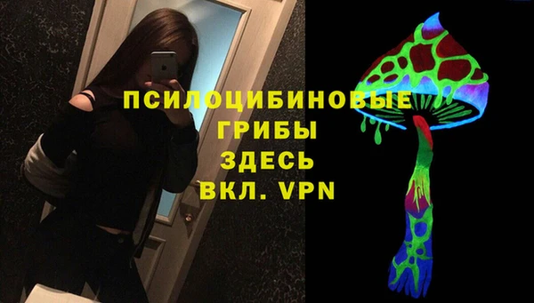 ПСИЛОЦИБИНОВЫЕ ГРИБЫ Вязники