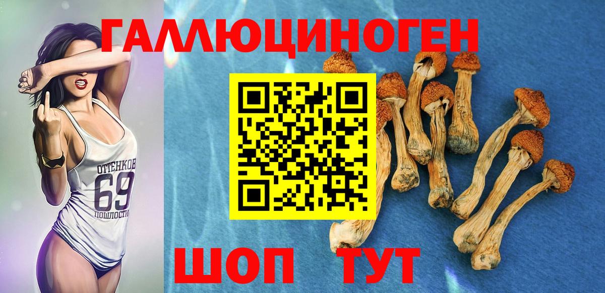Галлюциногенные грибы ЛСД  Вход с VPN  Ноябрьск 