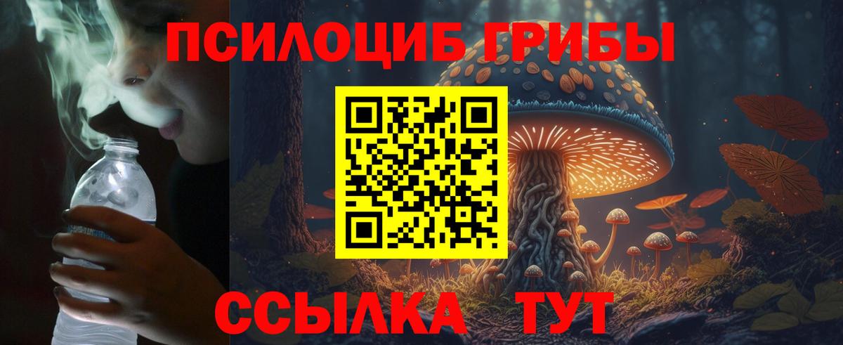 Галлюциногенные грибы Psilocybine cubensis Ноябрьск